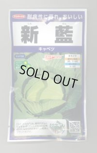 送料無料　[キャベツ]　新藍　ペレット　100粒　(株)サカタのタネ　実咲PRO