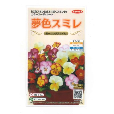 画像1: 送料無料　花の種　パンジー　夢色スミレ　モーニングスマイル　約50粒　(株)サカタのタネ　実咲500（105173）