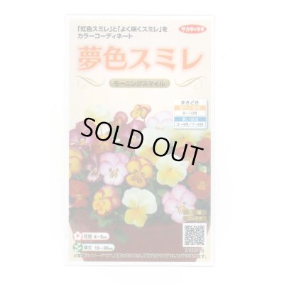 画像1: 送料無料　花の種　パンジー　夢色スミレ　モーニングスマイル　約50粒　(株)サカタのタネ　実咲500（105173）