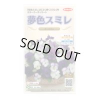 送料無料　花の種　パンジー　夢色スミレ　オーシャン　約50粒　(株)サカタのタネ　実咲500（105174）