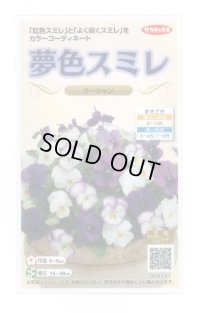 送料無料　花の種　パンジー　夢色スミレ　オーシャン　約50粒　(株)サカタのタネ　実咲500（105174）