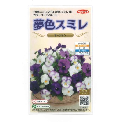 画像1: 送料無料　花の種　パンジー　夢色スミレ　オーシャン　約50粒　(株)サカタのタネ　実咲500（105174）