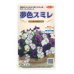 画像1: 送料無料　花の種　パンジー　夢色スミレ　オーシャン　約50粒　(株)サカタのタネ　実咲500（105174） (1)