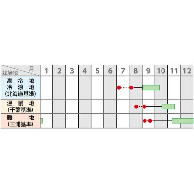 画像2: 送料無料　[大根]　夏秋自慢　800粒　(株)サカタのタネ