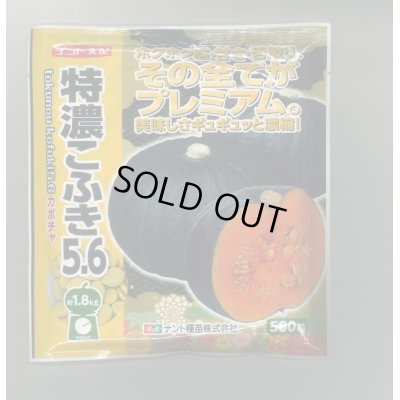 画像1: 送料無料　[かぼちゃ]　特濃こふき5.6　500粒　ナント種苗(株)