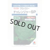 送料無料　[ブロッコリー]　チャレンジャーSP　150粒　タキイ種苗(株)　DF