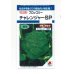 画像1: 送料無料　[ブロッコリー]　チャレンジャーSP　150粒　タキイ種苗(株)　DF (1)