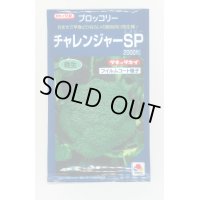 送料無料　[ブロッコリー]　チャレンジャーSP　2,000粒　タキイ種苗(株)