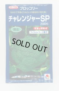 送料無料　[ブロッコリー]　チャレンジャーSP　2,000粒　タキイ種苗(株)