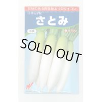 送料無料　大根　さとみ大根　300粒　渡辺交配