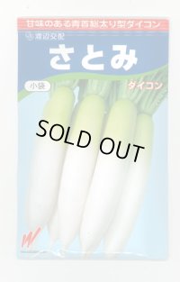 送料無料　大根　さとみ大根　300粒　渡辺交配