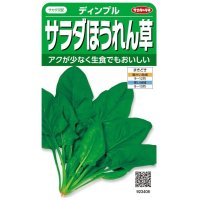 送料無料　[ほうれんそう]　サラダほうれん草　ディンプル　約750粒　(株)サカタのタネ　実咲200（003006）