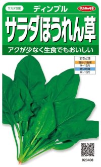 送料無料　[ほうれんそう]　サラダほうれん草　ディンプル　約750粒　(株)サカタのタネ　実咲250（003006）