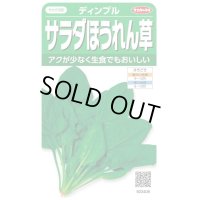 送料無料　[ほうれんそう]　サラダほうれん草　ディンプル　約750粒　(株)サカタのタネ　実咲250（003006）