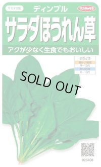 送料無料　[ほうれんそう]　サラダほうれん草　ディンプル　約750粒　(株)サカタのタネ　実咲250（003006）