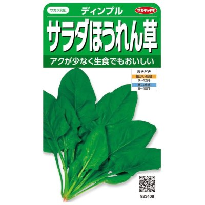 画像1: 送料無料　[ほうれんそう]　サラダほうれん草　ディンプル　約750粒　(株)サカタのタネ　実咲200（003006）