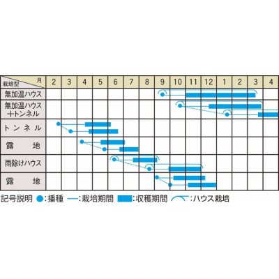 画像3: 送料無料　[春菊]　おやさと中葉　30ml　(株)大和農園