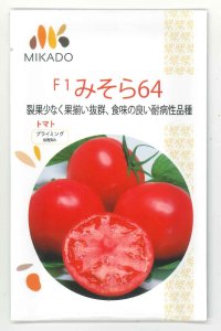 送料無料　[トマト]　大玉トマト　みそら64　8粒　ヴィルモランみかど