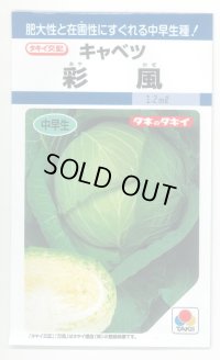 送料無料　[キャベツ]　彩風　1.2ml　(約150粒)　タキイ種苗(株)　DF