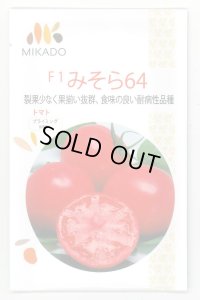 送料無料　[トマト]　大玉トマト　みそら64　100粒　ヴィルモランみかど