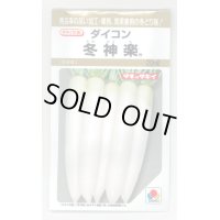 送料無料　[大根]　冬神楽　20ml　タキイ種苗(株)