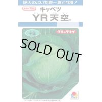 送料無料　[キャベツ]　YR天空　約150粒　タキイ種苗（株）　DF