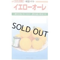 送料無料　[トマト/中玉トマト]　イエローオーレ　100粒　カネコ交配