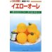 画像1: 送料無料　[トマト/中玉トマト]　イエローオーレ　100粒　カネコ交配 (1)