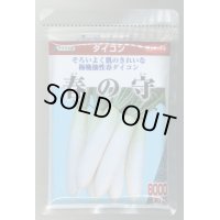 送料無料　[大根]　春の守　8000粒　(株)サカタのタネ