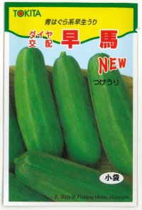 送料無料　[瓜類]　NEW早馬　30粒　トキタ種苗（株）