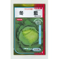 送料無料　[キャベツ]　冬藍　2000粒　（株）サカタのタネ