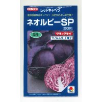 送料無料　[キャベツ]　ネオルビーSP　2000粒　タキイ種苗(株)