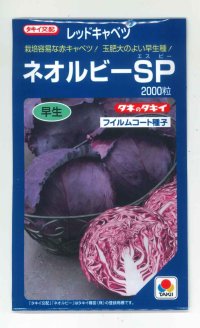 送料無料　[キャベツ]　ネオルビーSP　2000粒　タキイ種苗(株)