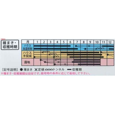 画像3: 送料無料　[パプリカ]　ぱぷ丸ネオオレンジ　6粒（株）大和農園　　