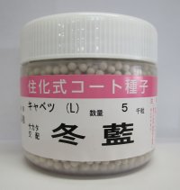 送料無料　[キャベツ]　送料無料　冬藍　コート　5000粒　（株）サカタのタネ