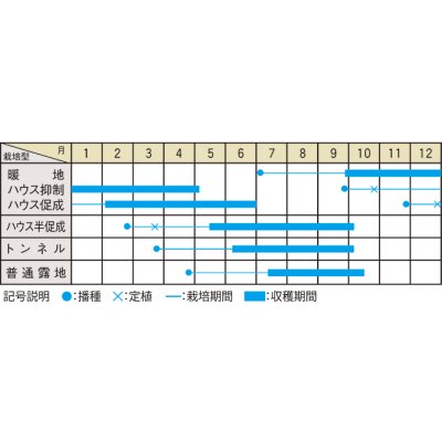 画像2: 送料無料　[オクラ]　大和丸さや　20ml（約240粒)　（株）大和農園