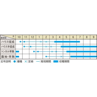 画像3: 送料無料　[なす]　絹皮水　0.5ml 約50粒（株）大和農園