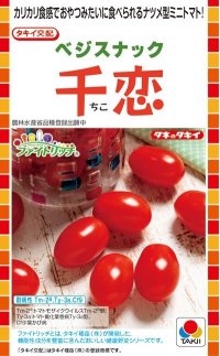 送料無料　[トマト/ミニトマト]　千恋　およそ8粒　タキイ種苗（株）DF