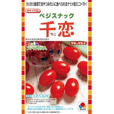 画像1: 送料無料　[トマト/ミニトマト]　千恋　およそ8粒　タキイ種苗（株）DF