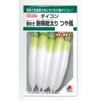 送料無料　[大根]　つや風　1.8ml　タキイ種苗(株)　GF