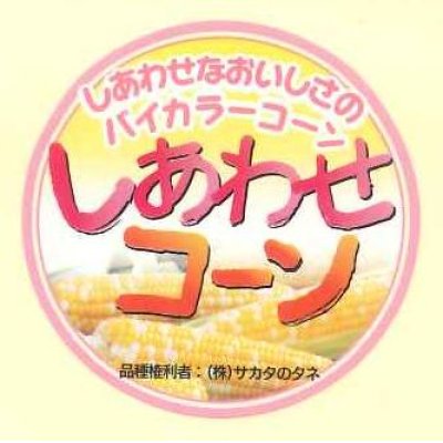 画像2: 送料無料　青果シール　とうもろこし　しあわせコーン　1000枚　(株)サカタのタネ