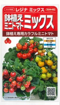 送料無料　[トマト/ミニトマト]　レジナミックス　約75粒 (株)サカタのタネ 実咲350（107809）