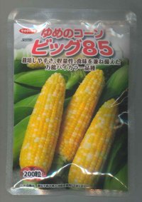 送料無料[とうもろこし]　ゆめのコーンビッグ85　2000粒　（株）サカタのタネ