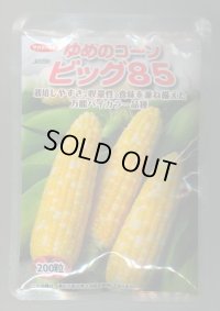 送料無料[とうもろこし]　ゆめのコーンビッグ85　200粒　（株）サカタのタネ