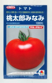 送料無料　[トマト/桃太郎系]桃太郎みなみ　1000粒　タキイ種苗(株)