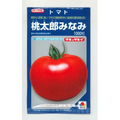 画像1: 送料無料　[トマト/桃太郎系]桃太郎みなみ　1000粒　タキイ種苗(株)