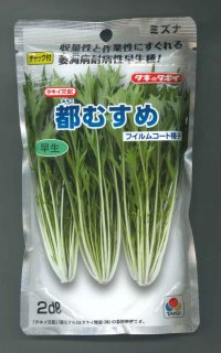 送料無料　[葉物]　水菜　都むすめ　2DL　タキイ種苗(株)　