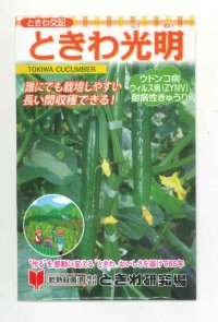 送料無料　[キュウリ]　ときわ光明　20粒　(株)(株)ときわ研究場