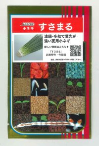 送料無料　[ねぎ]　小ねぎ　すさまる　　20ml （約3200粒）（株）サカタのタネ