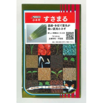 画像1: 送料無料　[ねぎ]　小ねぎ　すさまる　　20ml （約3200粒）（株）サカタのタネ